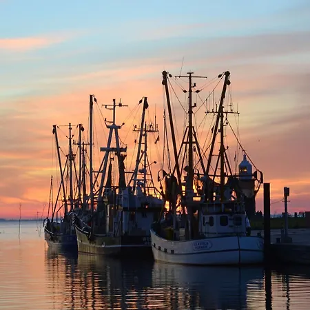 Jontes Nest - Modern, Gemuetlich Mit Sauna Apartamento *